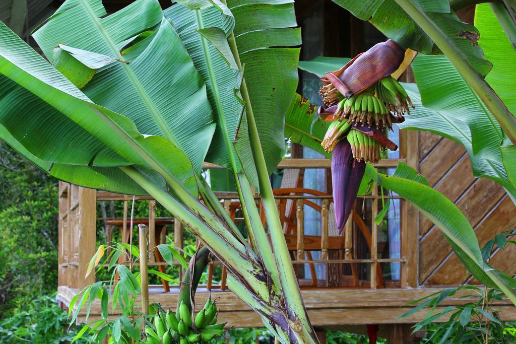 Melanting Cottages Munduk Esterno foto