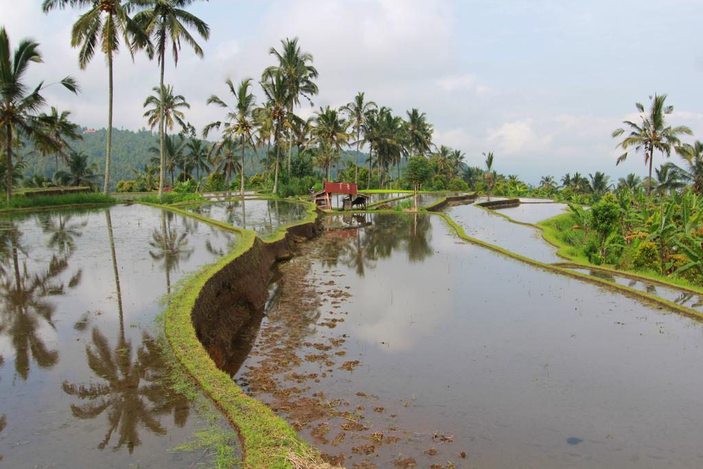 Melanting Cottages Munduk Esterno foto